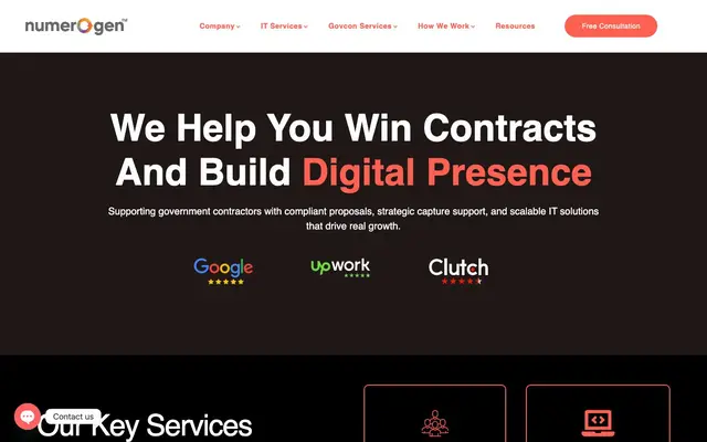 Numerogen Solutions (Website Development, Mobile App Development Company) website