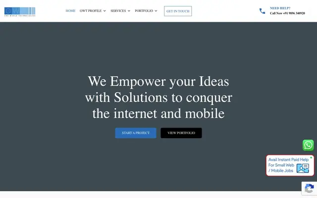 One World Technologies website