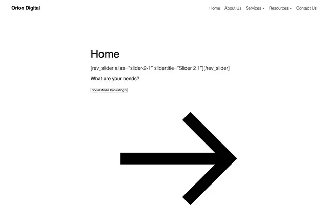 Orion Digital website
