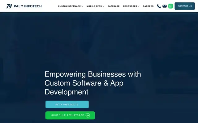 Palm Infotech website