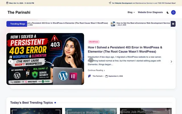 The Parinshi - Digital Marketing Solutions website