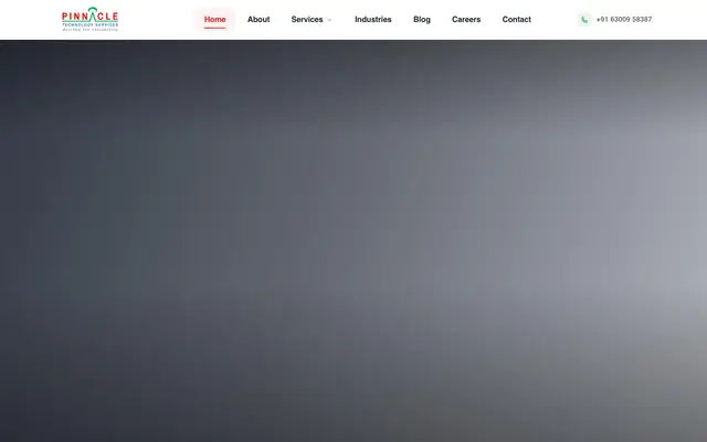 Pinnacle Technology Services website