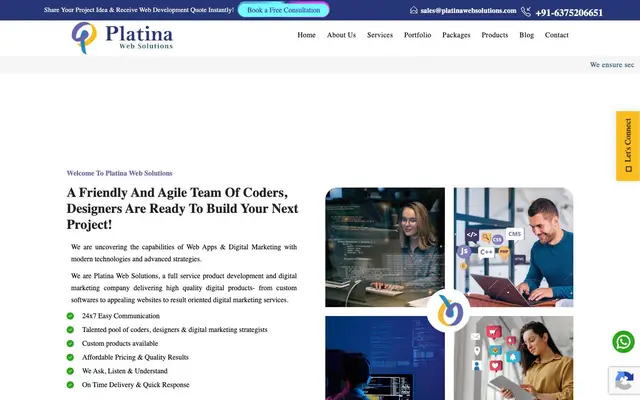 Platina Web Solutions website