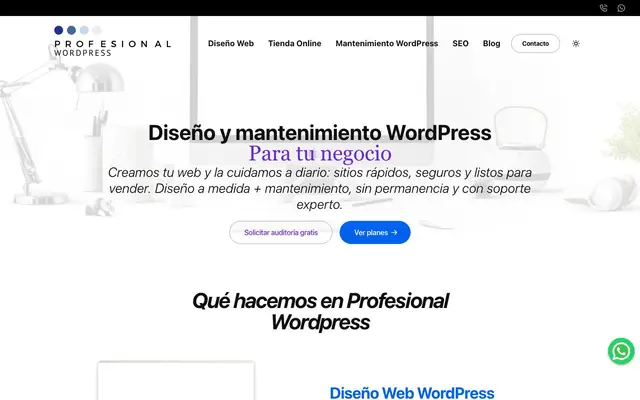 Profesional Wordpress website