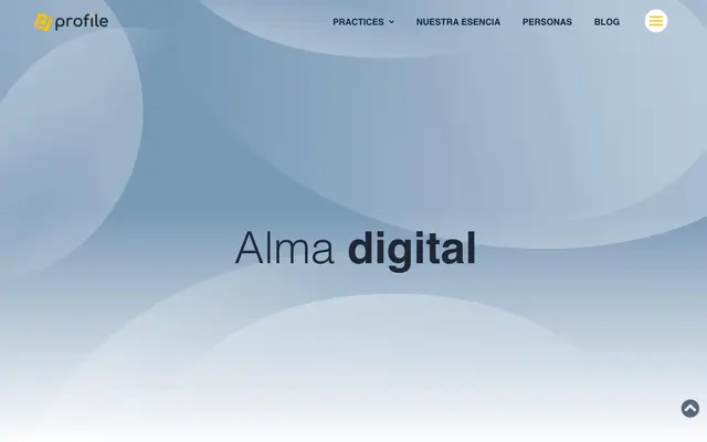 Profile Software Services website