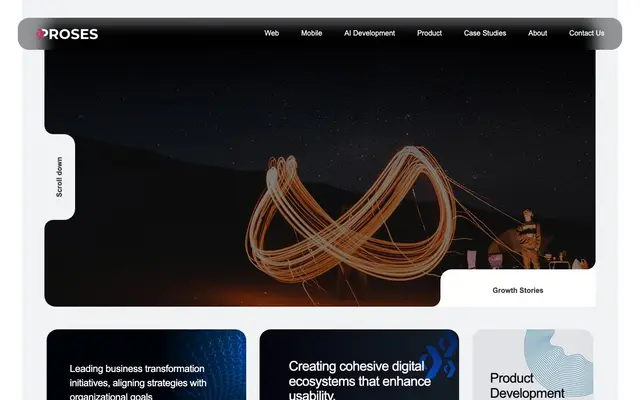 Proses Web Technologies Pvt. Ltd website