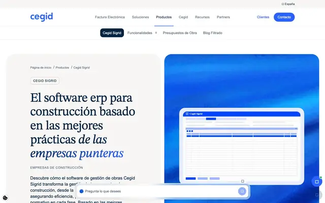 Professional Software S.A. website