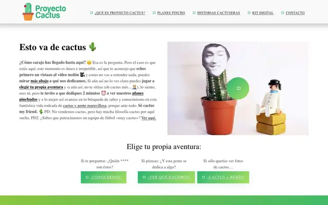 Proyecto Cactus. Creación de páginas web y comunicación para pequeños negocios website