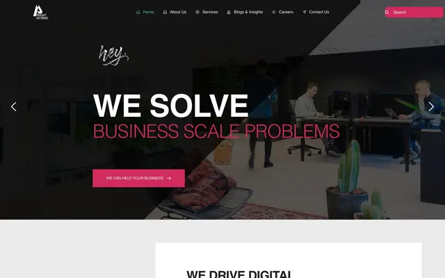 Pursuit Software website
