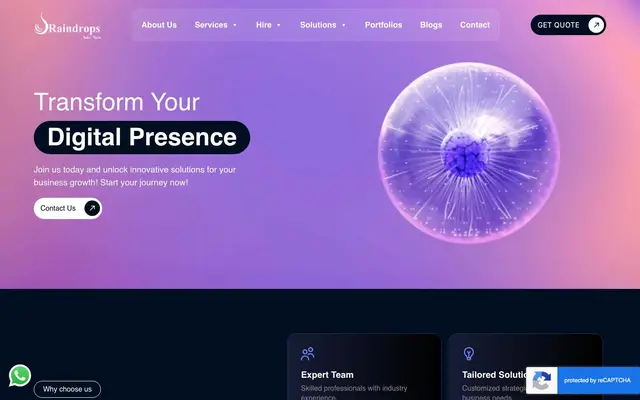 Raindrops InfoTech website