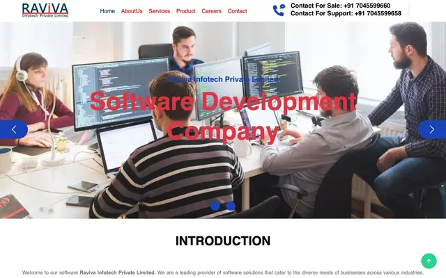 RAVIVA INFOTECH PVT LTD website