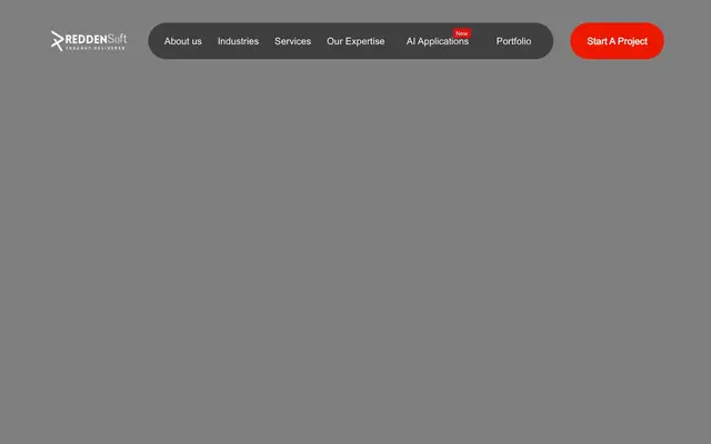 Reddensoft Infotech Pvt. Ltd. website