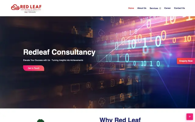 Redleaf Softwares and Services LLP website
