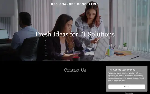 Red Oranges Consulting - Best Software Development | Inventory Management | Payroll Management Company in Lucknow website