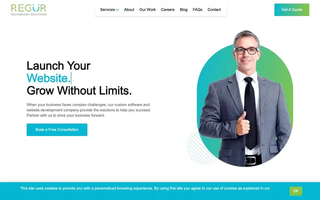 Regur Technology Solutions website