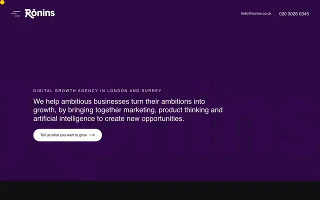 Ronins Group website