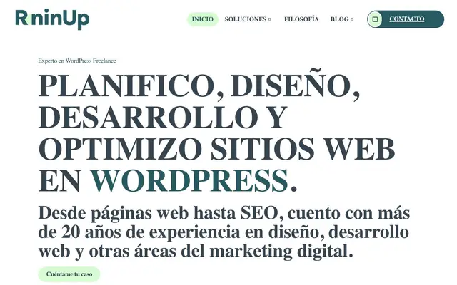 David | Experto WordPress en Madrid | roninup.es website