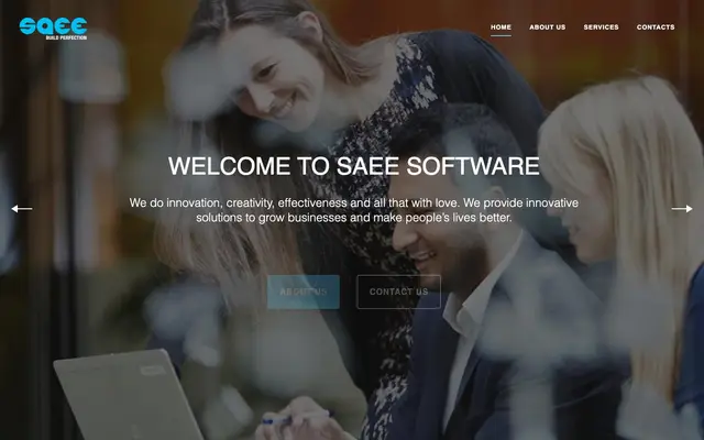 Saee Software Pvt Ltd website