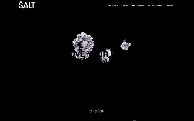 Salt Studio website