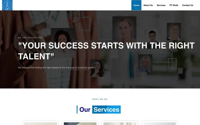 Shaft Software Solutions website