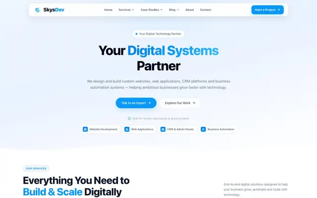 SkysDev - Web Development Company website