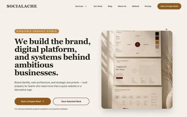 Socialache website