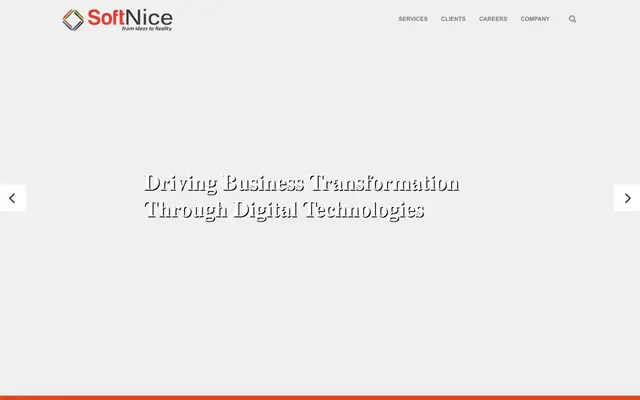 Softnice India Pvt. Ltd website