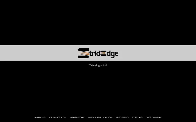 StridEdge Technology Company website