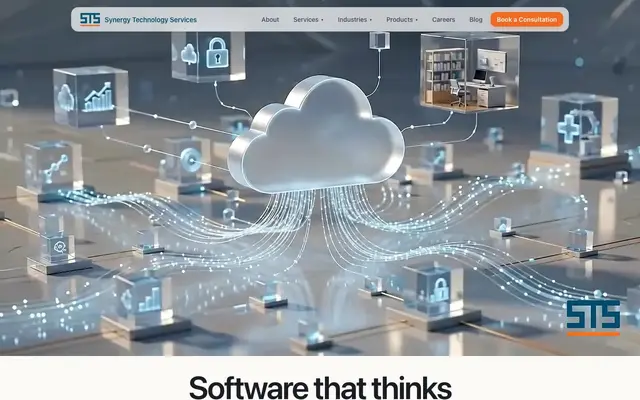 Synergy Technology Services website