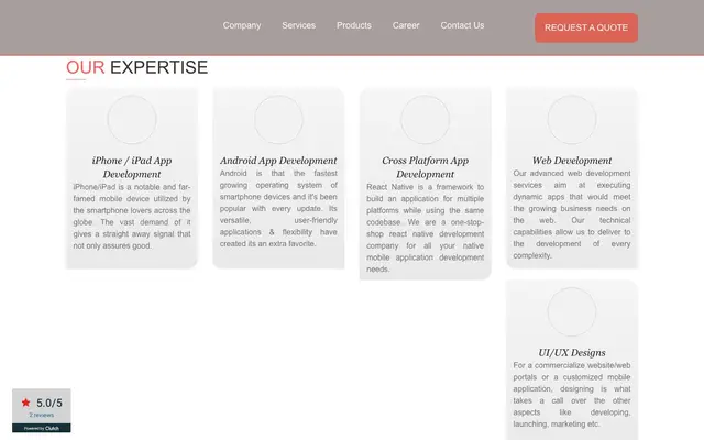 Swayam Infotech website