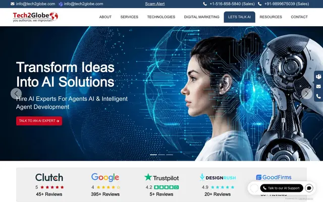 Tech2globe Web Solutions website
