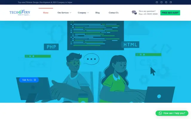 Techfern Websolutions Private Limited website