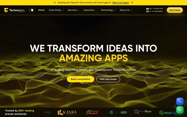 Technogigz Solutions website