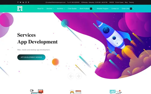 Techno Savvy Port website