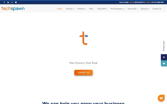 TechSpawn Solutions Pvt. Ltd. website