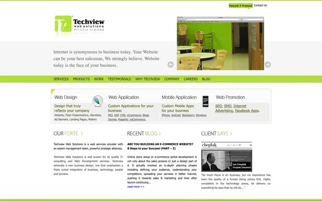 Techview Web Solutions Pvt Ltd website
