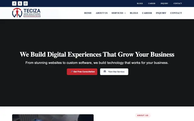 Teciza Web Solutions website