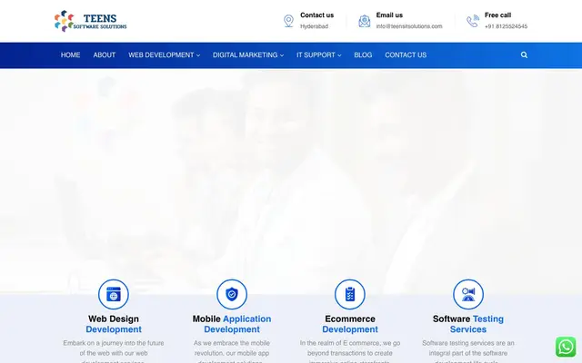 Teens Software Solutions website