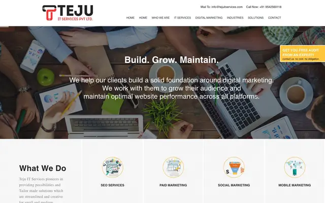 Teju IT Services website