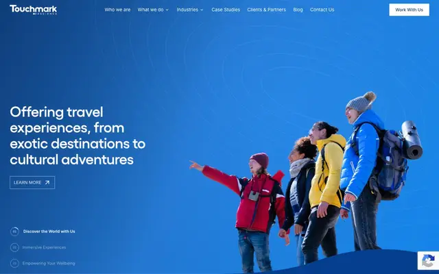 Touchmark Descience Pvt Ltd website