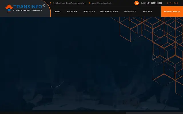 Transinfo Solutions website