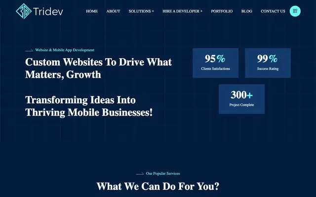 Tridev Infoways website