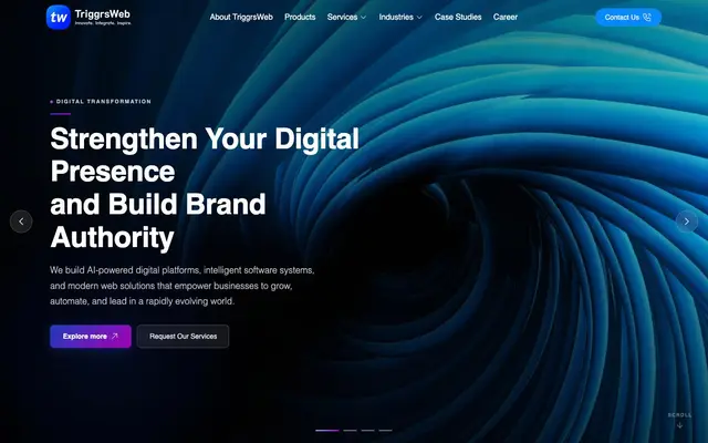 TriggrsWeb Solutions website