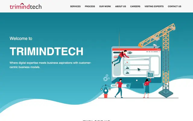 TriMindTech Solutions Pvt. Ltd website