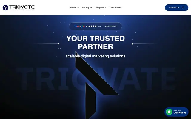 Triovate PVT LTD website