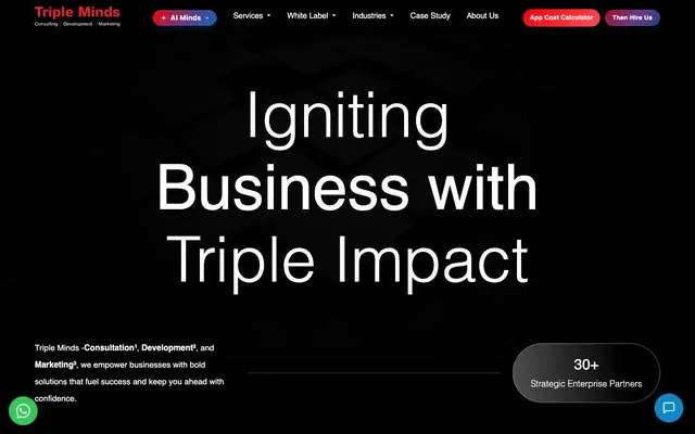 Triple Minds website