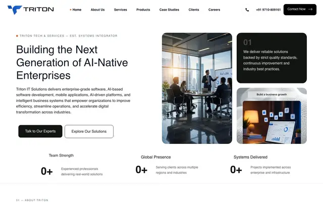 Triton IT Solutions website