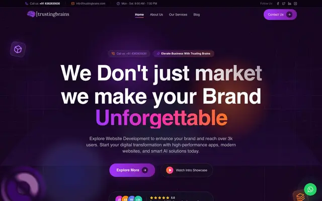 TRUSTING BRAINS IT SERVICES PRIVATE LIMITED website