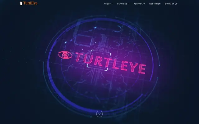 TurtlEye Tech website