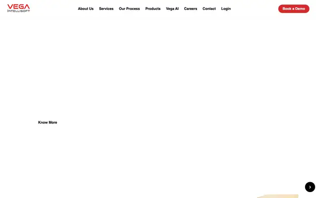 VEGA Intellisoft Pvt. Ltd (Registered Office) website
